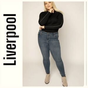 Liverpool Dark Gray Skinny Jeans